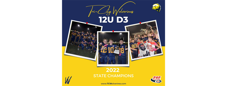 2022 12u D3 Chicagoland & Mid-America Champions